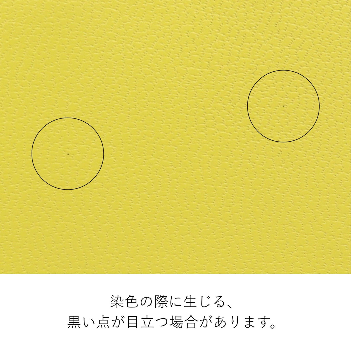 【公式WEB限定品】Dakota レア2 L字ファスナーミニ財布 0038637
