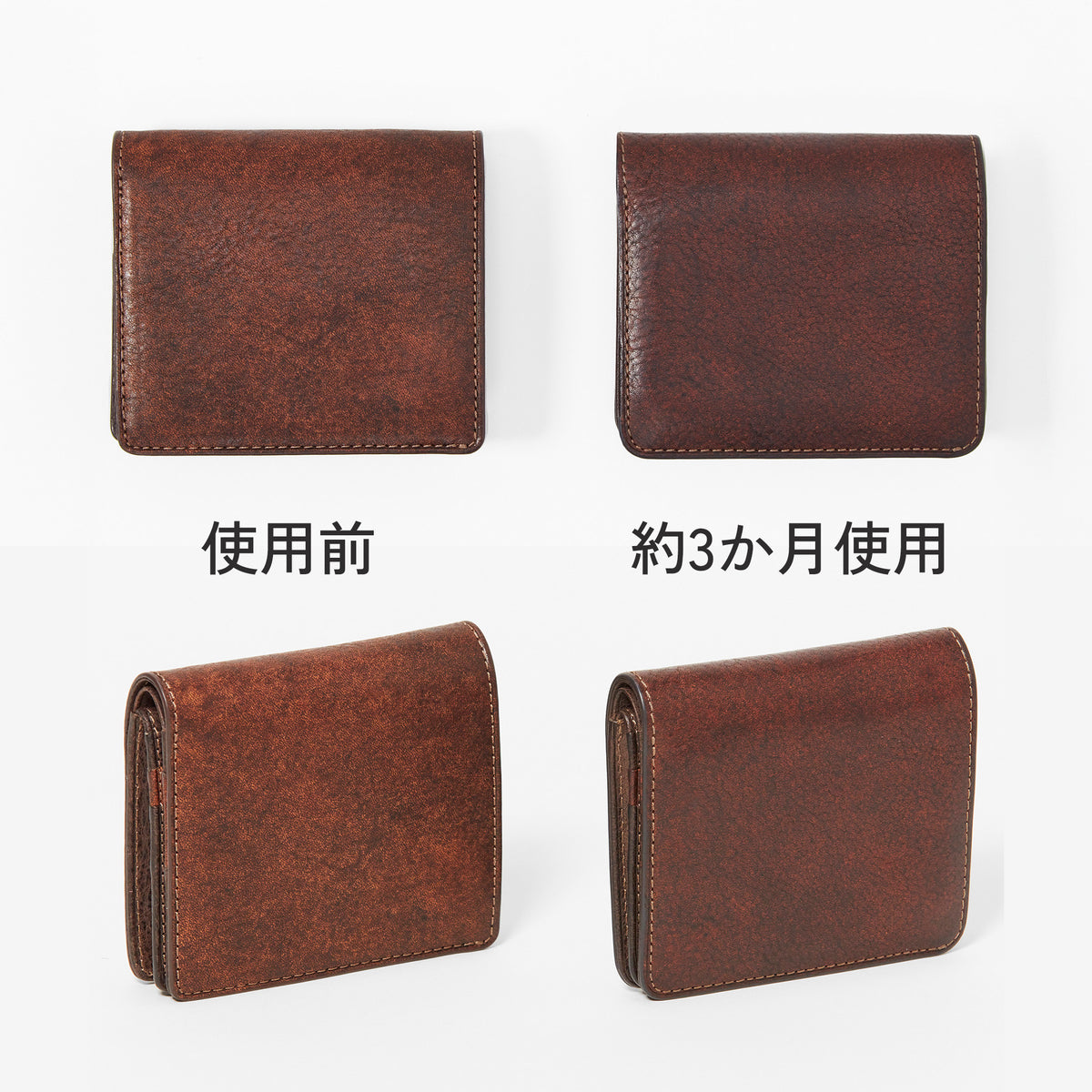 Dakota BLACK LABEL セディメント 二つ折り財布 0622001