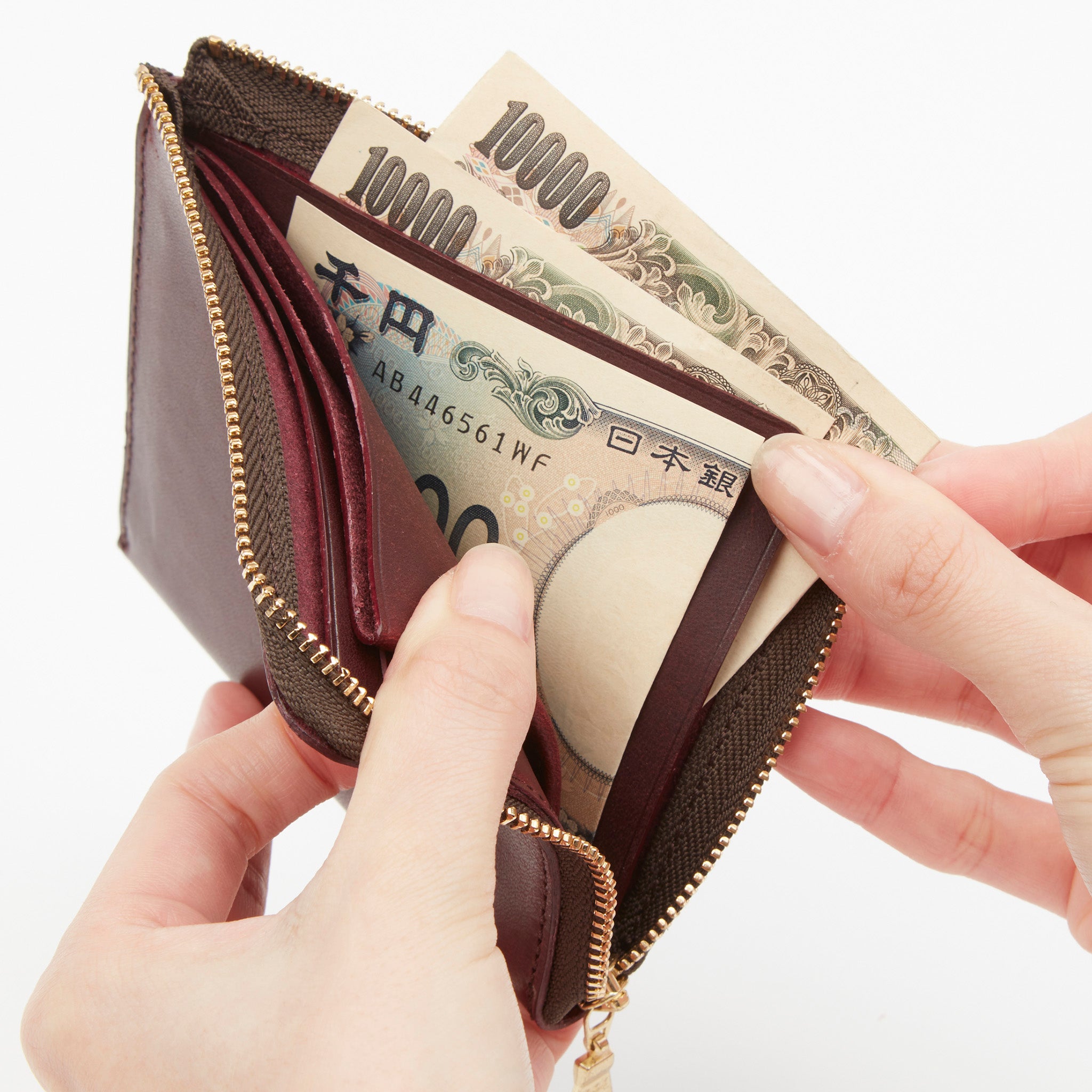 二つに折った紙幣が収納でき、背面側には仕切りが付いています