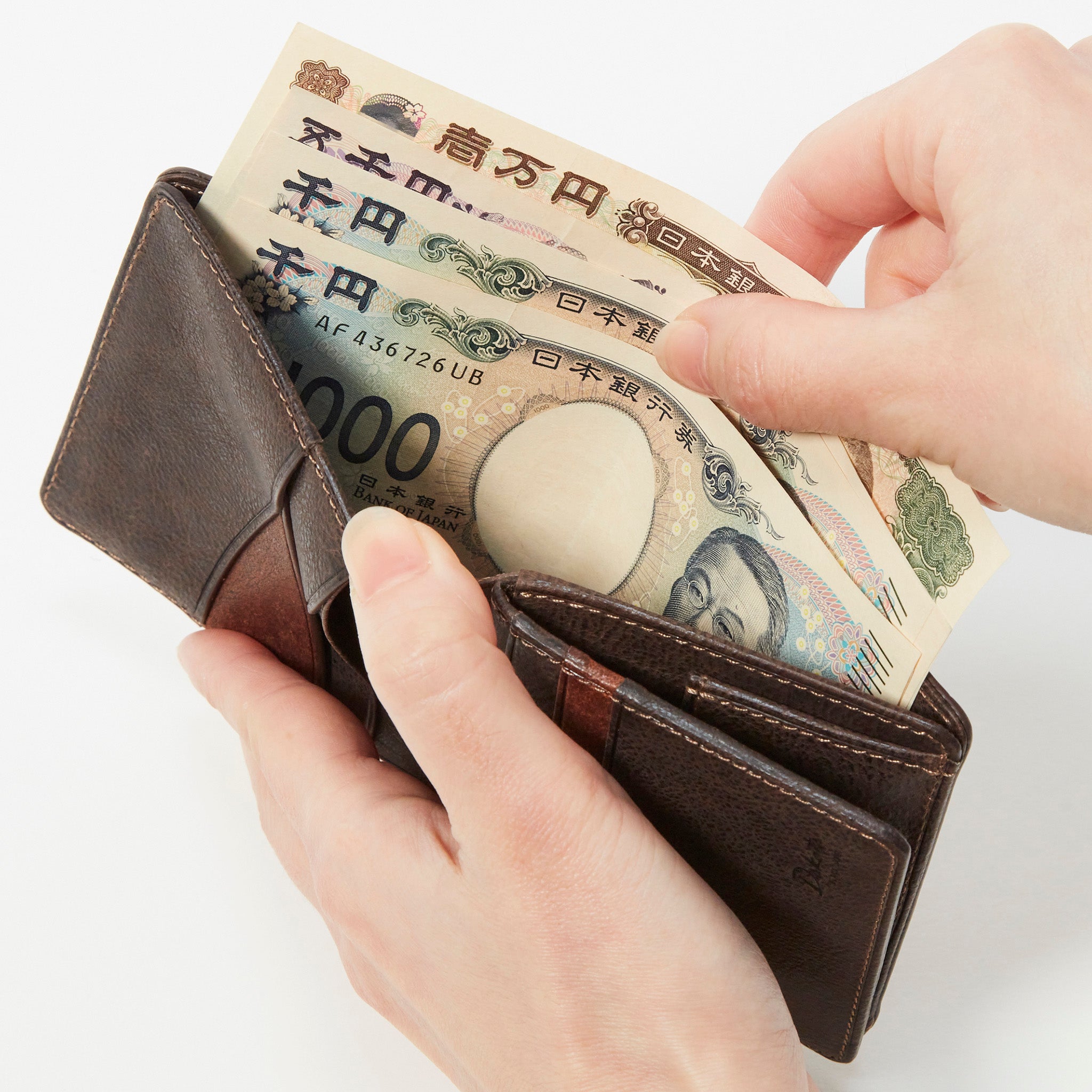Dakota BLACK LABEL セディメント 二つ折り財布 0622000